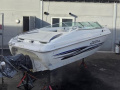 Wellcraft EXCALIBUR 20 Sport boat