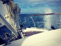 Nauticat 321 Velero crucero