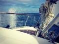 Nauticat 321 Açık Deniz Yatı