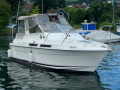 Fairline Carrera 24 Cabin cruiser