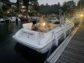 Sea Ray 215EC Kamaralı tekne