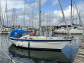 Forgus 31 Segelyacht