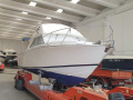 Bertram 28 Flybridge Flybridge