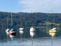 Boje Schloss Grefensee ab sofort Bouée