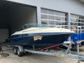 Viper V 203 Bateau de sport