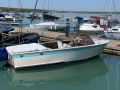 Guggisberg Silberm&ouml;we Runabout Runabout