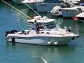 Boston Whaler 305 Conquest Kabinebåd