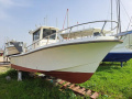 Good Go TF 240 Barco pesquero
