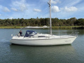 Dehler 36 cws Sailing yacht