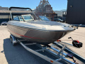 Sea Ray SPX 230 Ltd. Edition Sürat Teknesi
