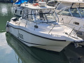 Boston Whaler 255 Conquest Fischerboot