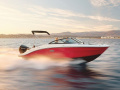 Sea Ray SPX 210 Outboard Bateau de sport