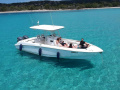Boston Whaler 320 Outrage Sportboot