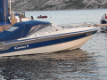 Wellcraft 210 Classic XL Sürat Teknesi