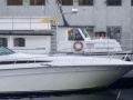 Sea Ray 480 Sundancer Motoryacht