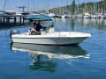 White Shark Kelt WhiteShark 175 Sportboot