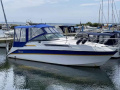 Wellcraft Antiqua 29 Kajütboot