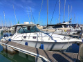 Pursuit 3370 Motoryacht