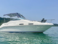 Sea Ray 230 DA Motoscafo