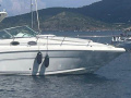Sea Ray 335 DA Motoryacht