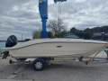 Sea Ray SPX 210 OUTBOARD Sportboot