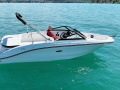 Sea Ray SPX 210 OUTBOARD Sürat Teknesi