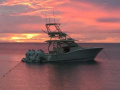 Scout Boats 420 LXF Motoryacht