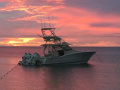 Scout Boats 420 LXF Motoryat