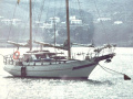 Ta Chiao CT 35 Segelyacht