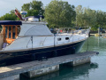 Cantieri Estensi GOLDSTAR 360 Classic powerboats