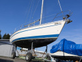 Bavaria 960 Sejlyacht