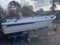 Ryds 480 RSI Fischerboot