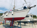 Dehler 31 Sejlyacht