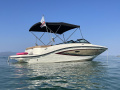Sea Ray SPX19 Sportboot