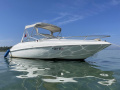 Wellcraft Excel 19 SL Sportboot