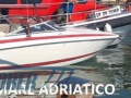 Cobalt 253 Sportsbåd
