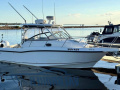 Boston Whaler 285 CONQUEST Sportboot