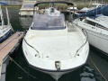 Brunswick Quicksilver Activ 605 Sundeck Sportboot