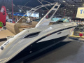 Sea Ray SDX 250 Yacht à moteur