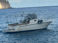 Zeta Group Bluetime F300 Pilothaus