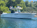 Boston Whaler 330 Outrage Konsolenboot