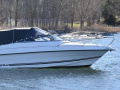 Ryds 23 DC Motoryacht