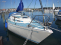 Colina L29 DEN 113 Omurgalı tekne