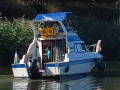 Reinell 247 Fly Flybridge