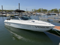 Falcon Boats Falcon 2270 CD Sportboot