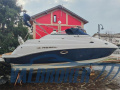 Regal Marine 2665 Sportboot