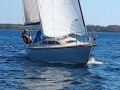 Dehler 31 Duetta 94 Segelyacht