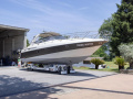 Cranchi endurance 41 Sürat teknesi