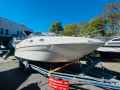 Sea Ray 240 DA Sportovní loď