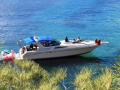 Sea Ray 400 Sport Cruiser Motoryat